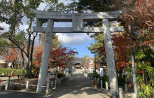 Machinovate Japan Ltd5