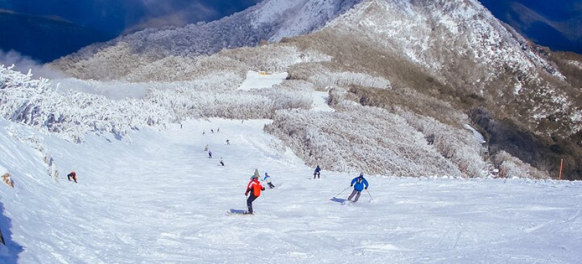 From Melbourne: Mt Buller Scenic Snow Getaway Day Tour