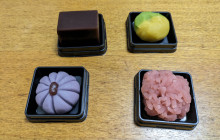 Machinovate Japan Ltd9