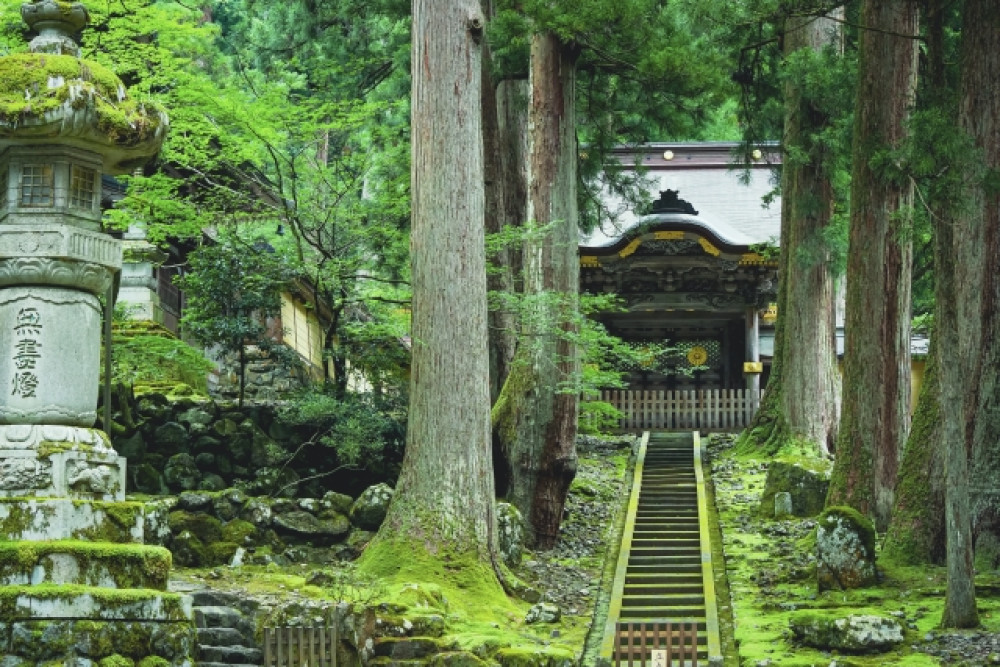Kanazawa Tour: Eiheiji Zen Temple and Fukui Castle Town