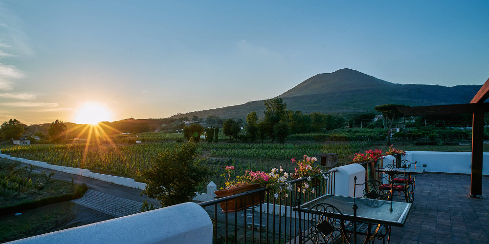 Private Luxury Vesuvius DOC Wine Tasting & Reggia di Portici Palace Tour