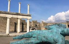 Napoli City Vision8
