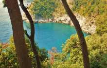 Napoli City Vision11
