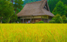Machinovate Japan Ltd10