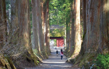 Machinovate Japan Ltd2