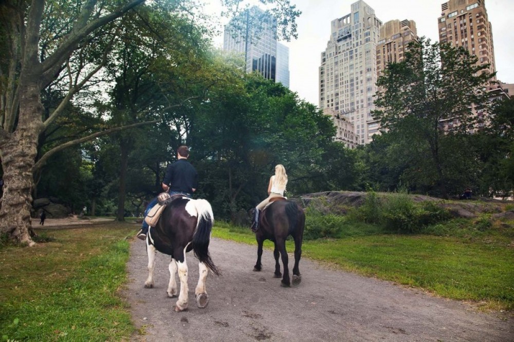 Horseback Riding in Central Park New York City Project Expedition