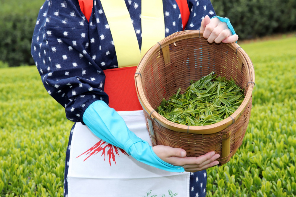 Nagoya Tour: Matcha, Confections, and Traditions in Nishio