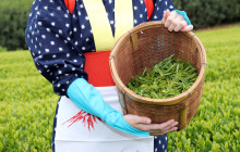 Machinovate Japan Ltd1