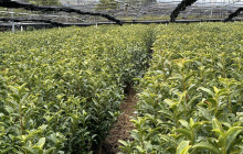 Machinovate Japan Ltd3