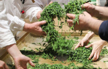 Machinovate Japan Ltd4
