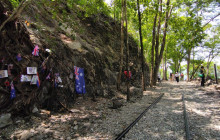 Discova Day Tours and Activities6