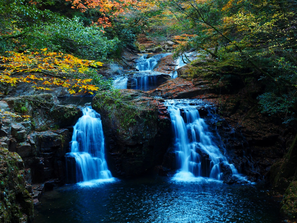 Nagoya Private Eco Adventure: Soni Highlands & Giant Salamanders