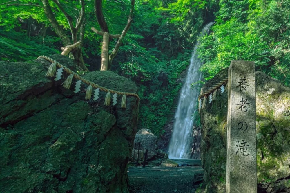 Nagoya Tour: Hike to Yoro Falls & Mt. Gozaisho Scenic Ropeway