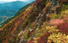 Machinovate Japan Ltd10