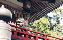 Machinovate Japan Ltd3