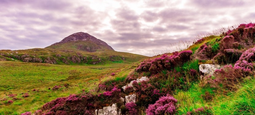 Scenic Connemara, Kylemore Abbey or Connemara National Park Tour