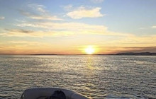 Islands 4 You5