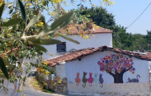 Turquesa Tours2