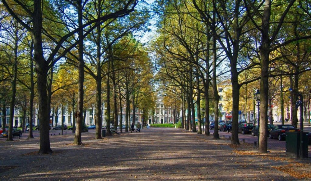 The Hague & Gouda Private Tour