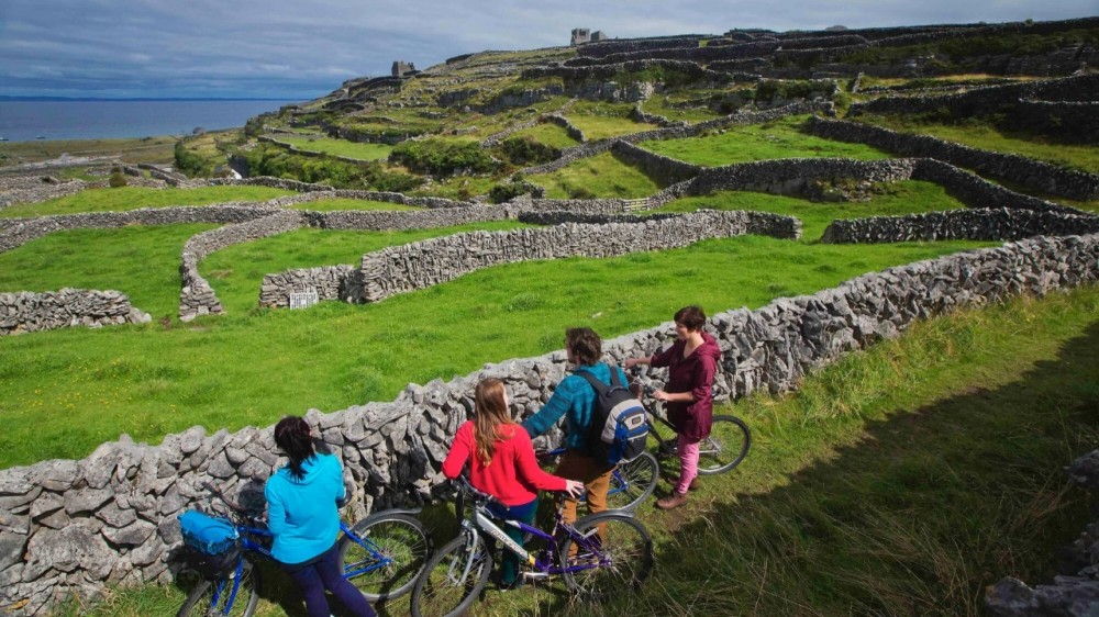 Cycling the Greenway with Gourmet Picnic Lunch Private Tour