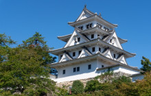 Machinovate Japan Ltd1
