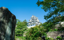 Machinovate Japan Ltd10