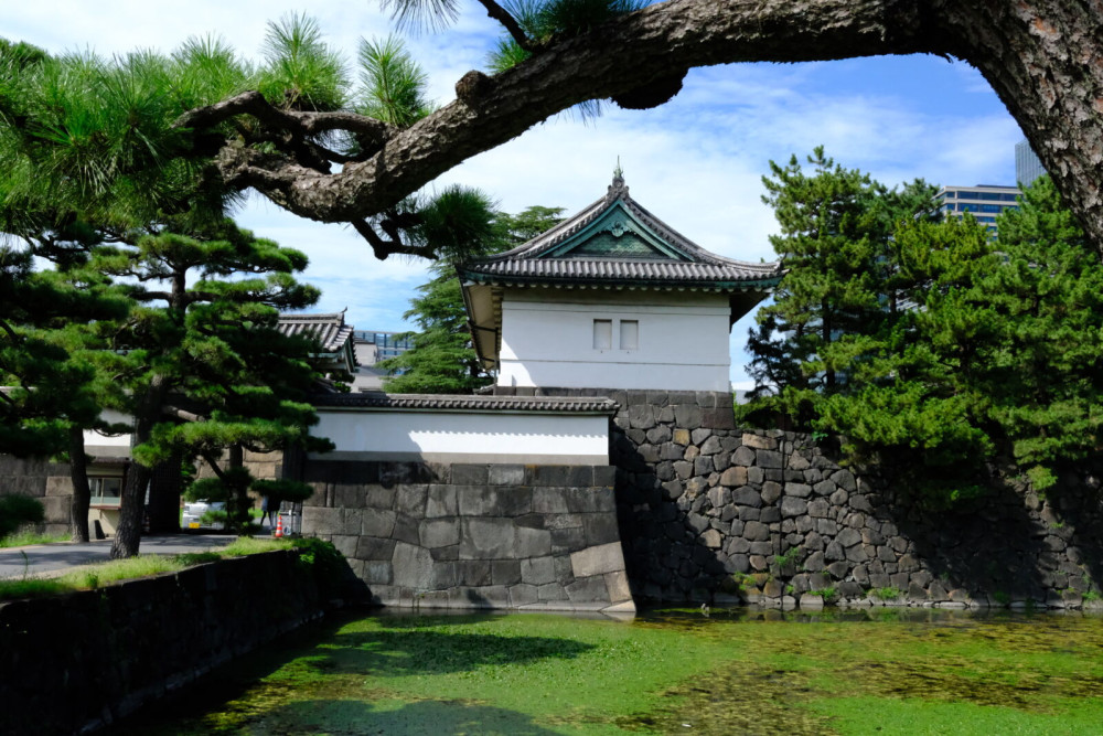 Ultimate Tokyo Tour: Imperial Palace, Sake, Robots, Gardens and Edo Museum