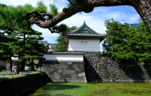 Machinovate Japan Ltd1
