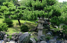Machinovate Japan Ltd7