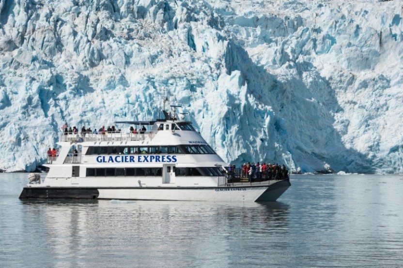 7.5 HR Kenai Fjords National Park: Holgate & Aialik Glaciers