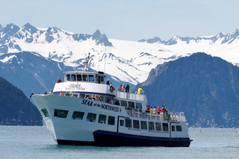 5 HR Kenai Fjords Resurrection Bay Wildlife Cruise