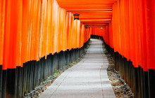 Machinovate Japan Ltd2
