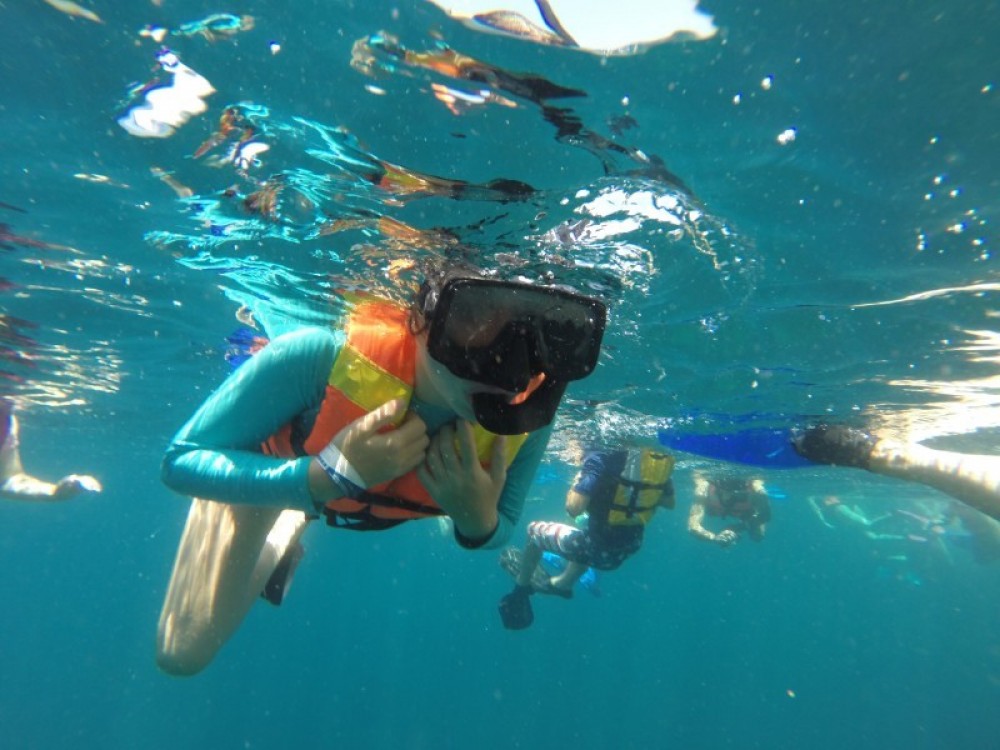 Snorkeling Los Cabos Cabo San Lucas Project Expedition