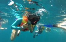 Private Snorkeling Tour in Cabos San Lucas