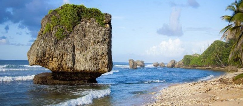 Barbados Coast To Coast Tour