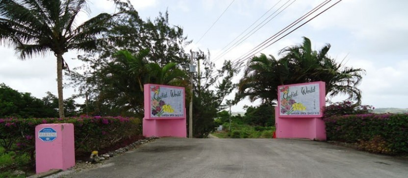 Barbados Garden Delight Tour