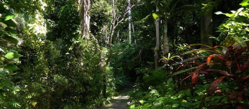 Barbados Garden Delight Tour
