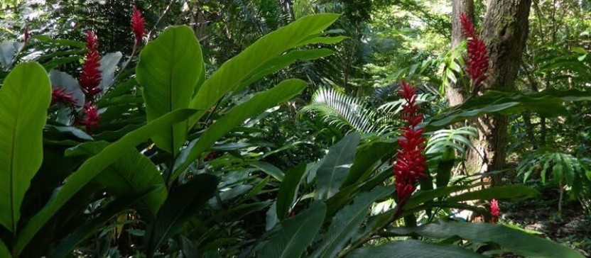 Cave and any Garden Tour