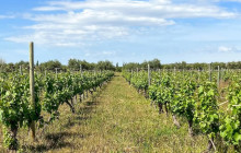 FONTENAY TOURS10