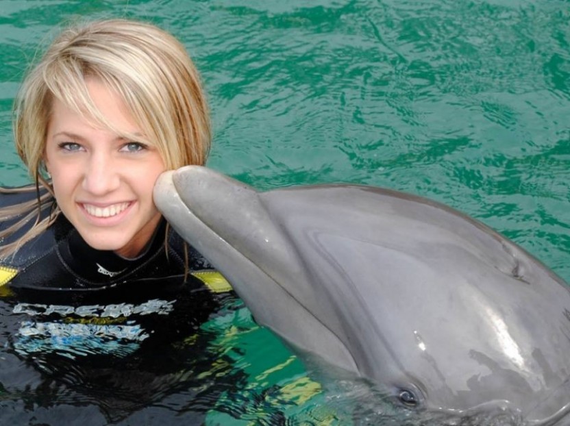 Dolphin Close Encounter