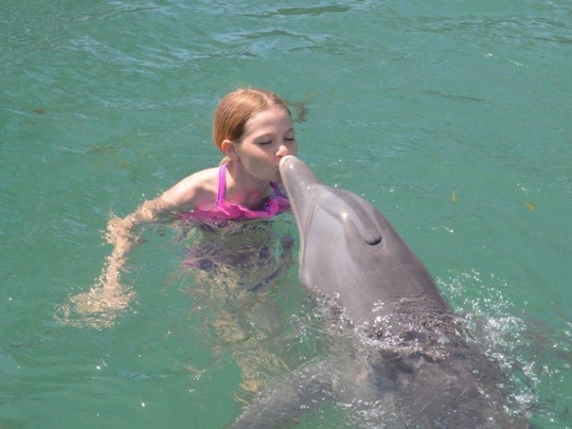 Dolphin Close Encounter