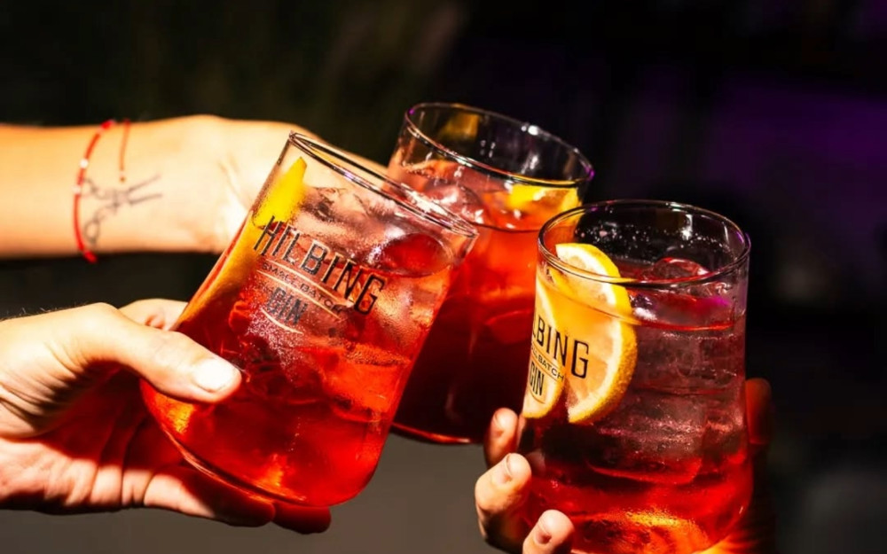 Gourmet route in Mendoza with wine, gin and chocolates