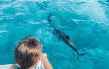 MANA Cruises + Charters4