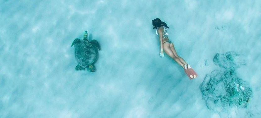 Ko Olina Exclusive Snorkel + Lunch Cruise (Shared Group)