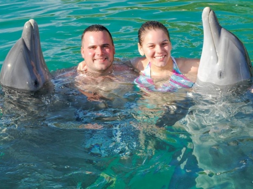 Swim with Dolphins