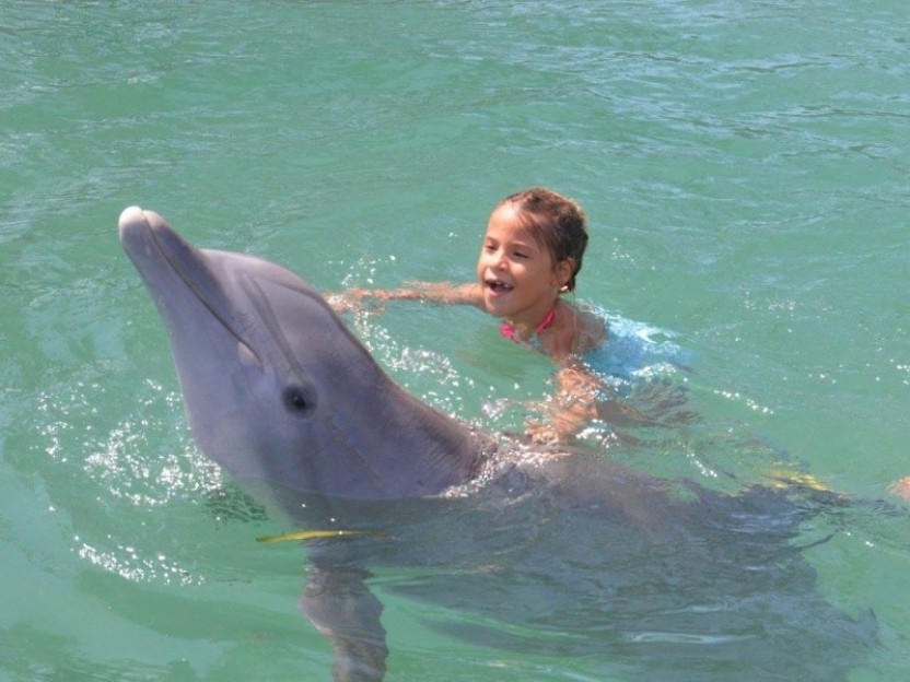 Swim with Dolphins