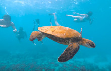 MANA Cruises + Charters1