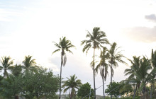 MANA Cruises + Charters2