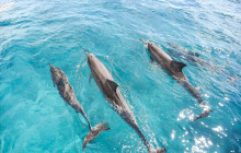 MANA Cruises + Charters1