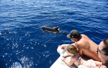 MANA Cruises + Charters18